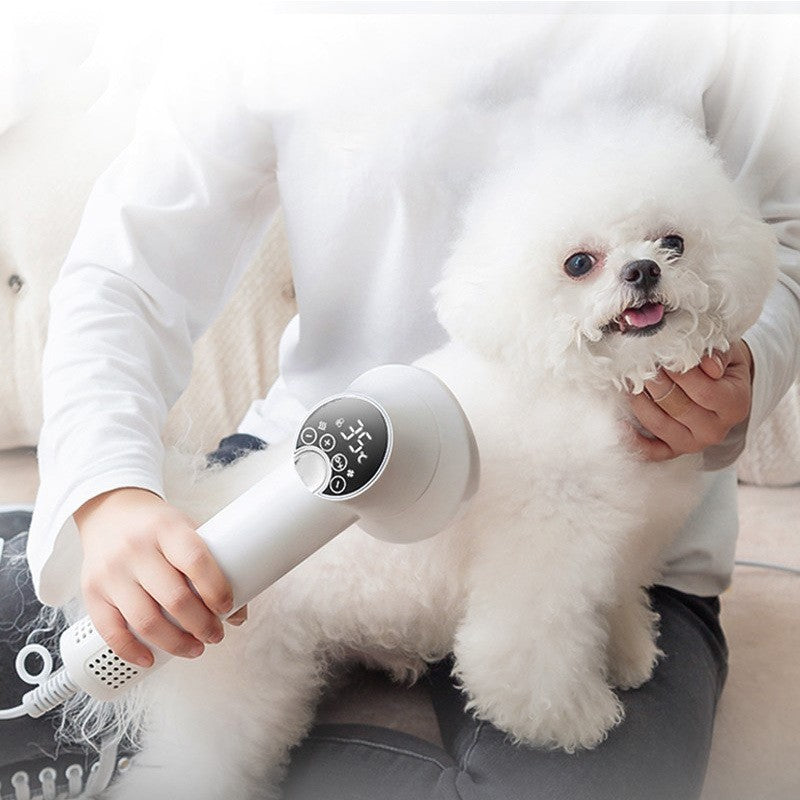 Smart Pet Hair Dryer Dog Golden Retriever Cat Grooming Hairdressing Blow &amp; Comb Silent No Harm Pet Cleaning Supplies Pet Products